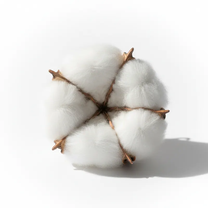 Aerobic Cotton — material macro